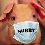 Influenza ; Virus Babi Bermutasi | Bahagian I