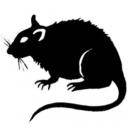 Bahaya Wabak Kencing Tikus