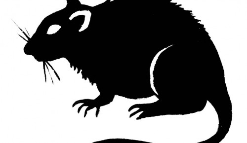Bahaya Wabak Kencing Tikus