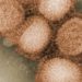 Influenza: Kenali Jenis-Jenisnya