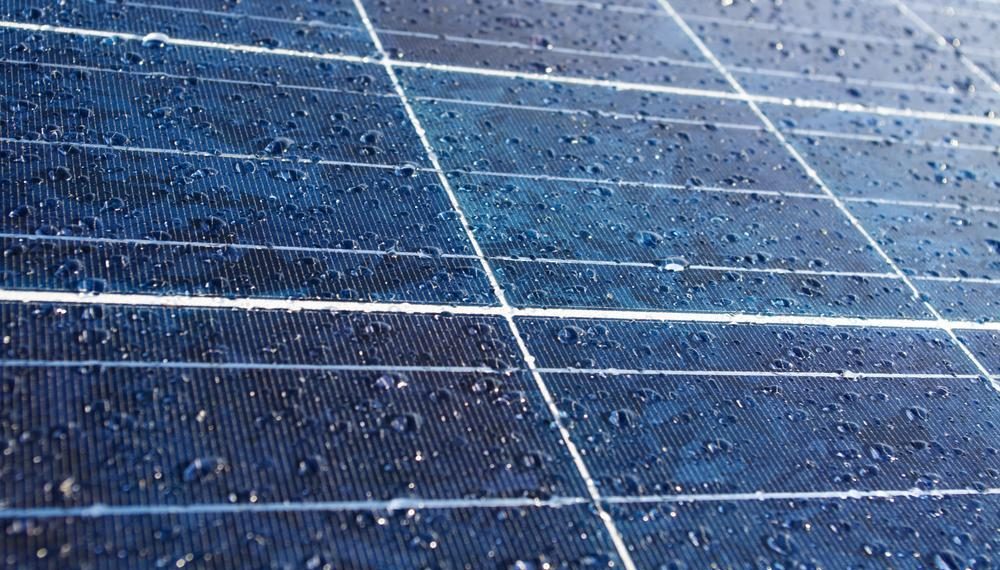 Rumpai Laut Merah sebagai Sel Solar Hibrid
