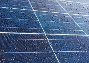 Rumpai Laut Merah sebagai Sel Solar Hibrid