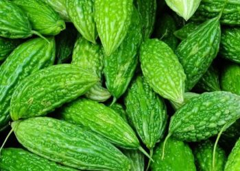 Nanoselulosa Peria Katak Pencuci Luka Pesakit Diabetes