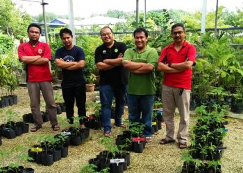 Kepentingan Nanoteknologi dalam Sektor Pertanian di Malaysia
