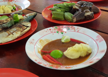 Makanan tradisi budu, cencaluk dan tempoyak  – adakah mereka boleh dikategorikan sebagai  salah satu sumber probiotik ?