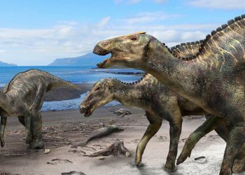 Saintis Jepun Temui Fosil Spesis Baru Dinosaur