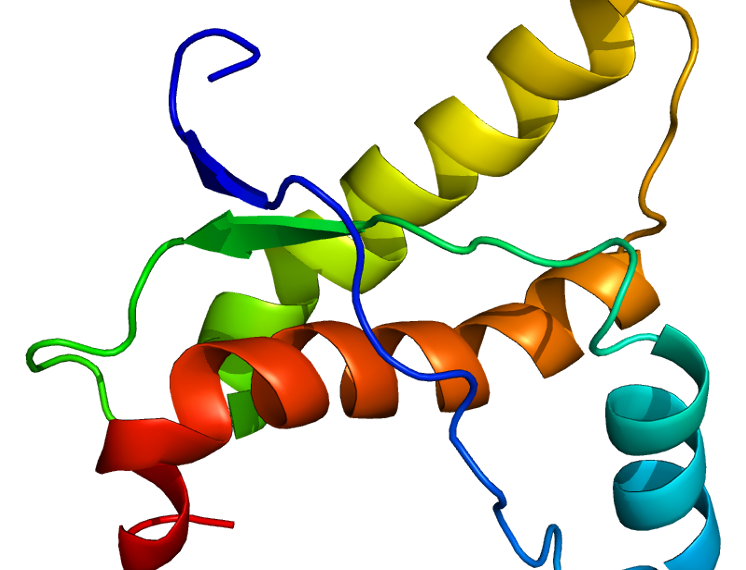 Peranan Proses Pelipatan Protein Terhadap Penyakit Prion