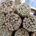 Kayu Sugi Masih Menjadi Pilihan