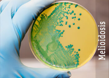 Melioidosis:  Beban dan Kesedaran Penyakit di Malaysia