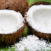 Hampas Kelapa Berpotensi Sebagai Sumber Penghasilan Biodiesel