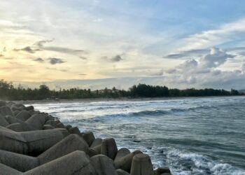 Benteng Pemecah Ombak II: Melestari Komuniti Flora dan Fauna Dasar Laut