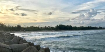 Benteng Pemecah Ombak II: Melestari Komuniti Flora dan Fauna Dasar Laut