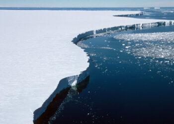 Antartika Kembali Menjadi Hutan Tropika : Apa Kerisauan Kita?