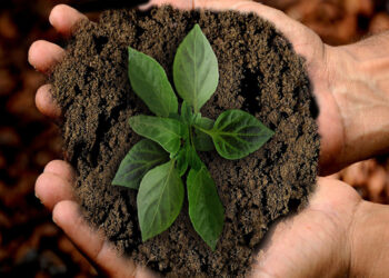 Intervensi Mikroorganisma Tingkatkan Potensi Komersil Produk Berasaskan Sisa Pertanian