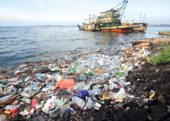 Limpahan Mikroplastik Ancam Populasi Serangga Petunjuk Biologi Ekosistem Akuatik