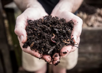 Memupuk Minat Kanak-kanak Terhadap Kelestarian Alam Melalui Projek Pengkomposan Mampan