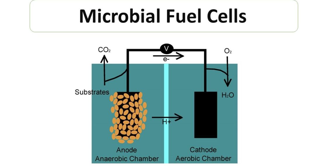 Revolusi Tenaga – Bakteria Sebagai Sumber Elektrik