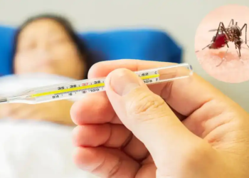 Bersama Melawan Denggi: Meningkatkan Kesedaran Komuniti tentang Denggi dan Pencegahannya