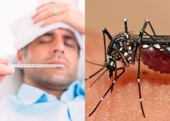 Cuaca Panas, Nyamuk Ganas: Apa Kaitan Perubahan Iklim Global dengan Denggi?