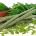 Moringa oleifera: Alternatif Semula Jadi dalam Pengurusan Kesihatan Mental