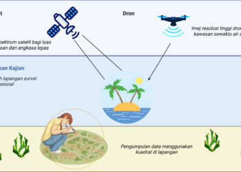 Aplikasi Penderiaan Jauh dalam Pemantauan Habitat Rumpai Laut