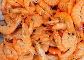 Transformasi Dari Kulit Krustasea Kepada Kitosan Serba Guna