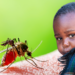 Malaria: Penyakit Purba yang Masih Mengancam Dunia