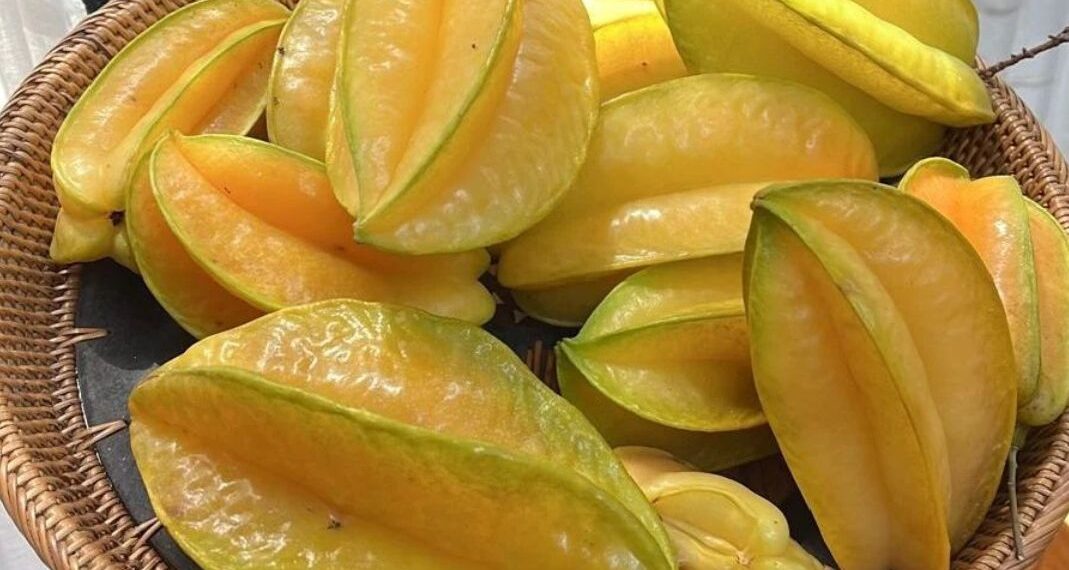 Kajian Fungsi Melatonin bagi Mengekalkan Kesegaran dan Ketahanan Buah Belimbing