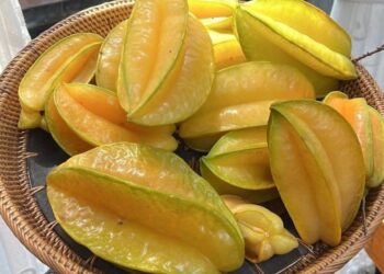 Kajian Fungsi Melatonin bagi Mengekalkan Kesegaran dan Ketahanan Buah Belimbing