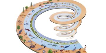 Taksonomi: Kesignifikannya Merentas Pelbagai Bidang