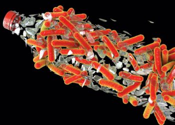 Bakteria Pemakan Plastik: Penyelesaian Alam untuk Pencemaran Plastik