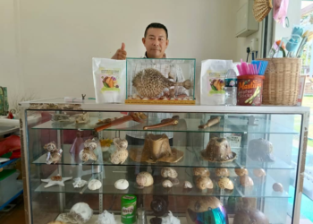 Mengangkat Inovasi Komuniti: Dari Ikan Buntal ke Kelestarian Lautan