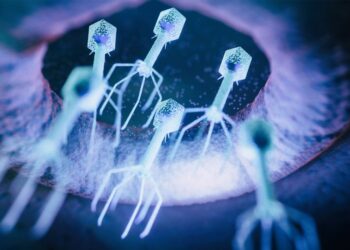 Ibarat ‘Kunci’ dan ‘Mangga’: Bagaimana Saintis Mencipta Antibodi untuk Pesakit