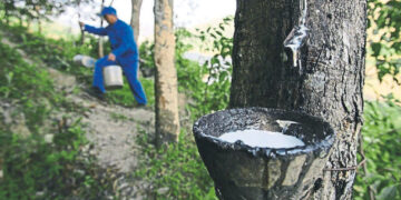 Industri Getah Negara: Jangan Biarkan Pekebun Kecil Terus Menanggung Beban