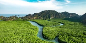 Kepelbagaian Spesies Pokok di Hutan Tanah Pamah