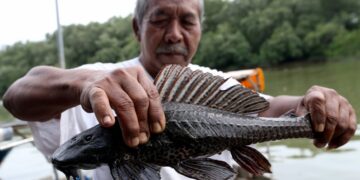 Spesies Asing Invasif di Malaysia