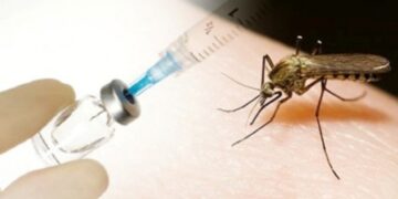 Vaksin Denggi, Kadar Perlindungan dan Kebimbangan Orang Ramai