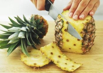 Bioteknologi: Memanfaatkan Sisa Buangan Nenas kepada Produk Industri Makanan