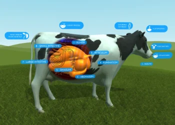 Bioreaktor Semulajadi: Memahami Mekanisma Pencernaan Ruminan Untuk Mengurangkan Kebergantungan Import