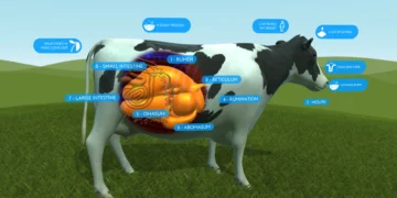 Bioreaktor Semulajadi: Memahami Mekanisma Pencernaan Ruminan Untuk Mengurangkan Kebergantungan Import