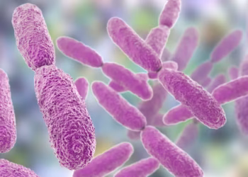 Ancaman dari Tanah: Apabila Bakteria Genus Klebsiella Menjadi Kebal Antibiotik