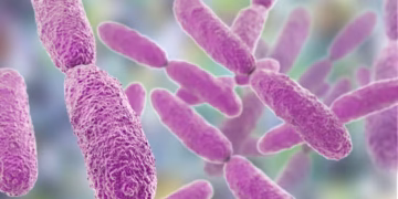Ancaman dari Tanah: Apabila Bakteria Genus Klebsiella Menjadi Kebal Antibiotik