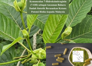 Kemunculan 7-Hidroksimitraginin (7-OH) sebagai Ancaman Baharu Dadah Sintetik Berasaskan Ketum: Potensi Risiko kepada Malaysia