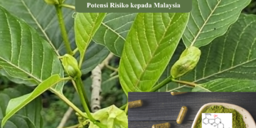 Kemunculan 7-Hidroksimitraginin (7-OH) sebagai Ancaman Baharu Dadah Sintetik Berasaskan Ketum: Potensi Risiko kepada Malaysia