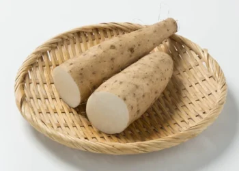 Ubian Tradisional (Dioscorea spp.) sebagai Sokongan Keterjaminan Makanan dan Alternatif Sumber Karbohidrat Negara