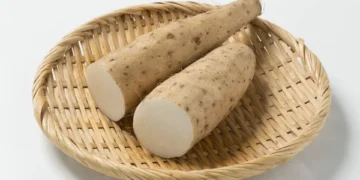 Ubian Tradisional (Dioscorea spp.) sebagai Sokongan Keterjaminan Makanan dan Alternatif Sumber Karbohidrat Negara