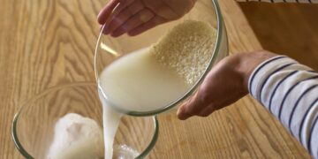 Air Basuhan Beras Bukan Sekadar Sisa: Rahsia Selulosa Bakteria daripada Kombucha