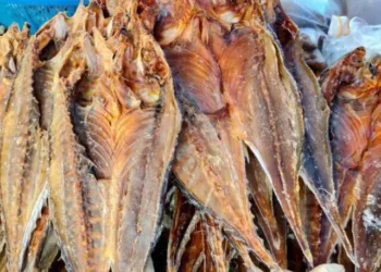 Di Sebalik Kelazatan Makanan Laut Kering Langkawi: Apa Kata Sains Tentang Merkuri?