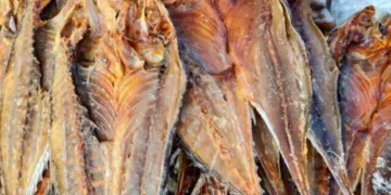 Di Sebalik Kelazatan Makanan Laut Kering Langkawi: Apa Kata Sains Tentang Merkuri?