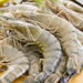 Udang Mentah dan Risiko Escherichia coli: Ancaman Patogen Bawaan Makanan